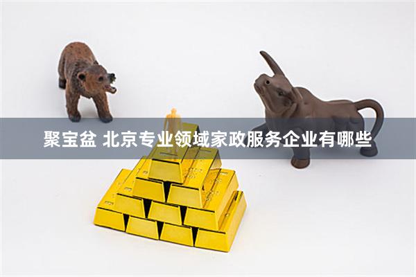 聚宝盆 北京专业领域家政服务企业有哪些
