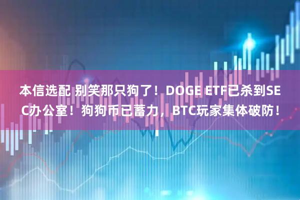 本信选配 别笑那只狗了！DOGE ETF已杀到SEC办公室！狗狗币已蓄力，BTC玩家集体破防！