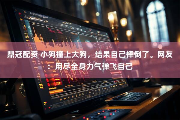 鼎冠配资 小狗撞上大狗，结果自己摔倒了。网友：用尽全身力气弹飞自己