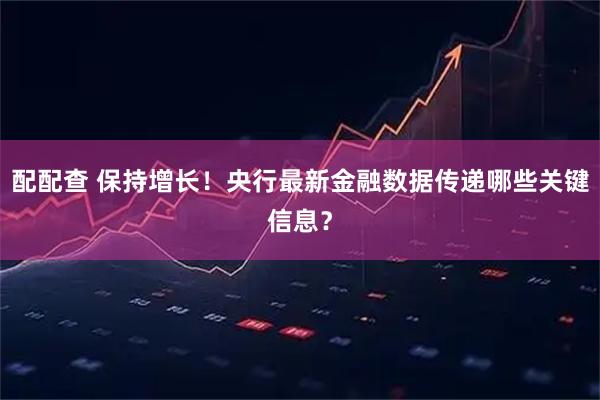 配配查 保持增长！央行最新金融数据传递哪些关键信息？