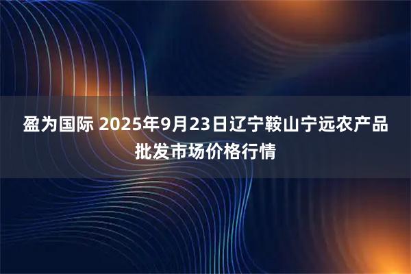 盈为国际 2025年9月23日辽宁鞍山宁远农产品批发市场价格行情