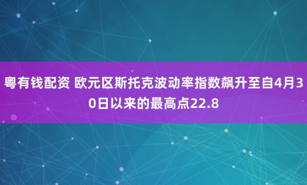 粤有钱配资 欧元区斯托克波动率指数飙升至自4月30日以来的最高点22.8