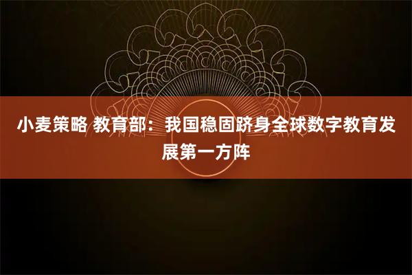 小麦策略 教育部：我国稳固跻身全球数字教育发展第一方阵